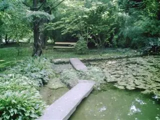 Ein Geheimtipp: Der Botanische Garten in Budapest