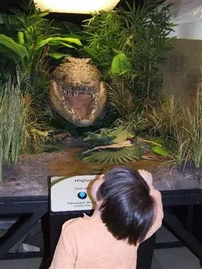 Ausufernde Vielfalt: Das Naturhistorische Museum in Budapest