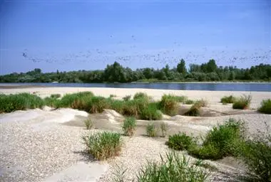 Das Biosphärenreservat Donau-Drau-Mur, ein echtes Gemeinschaftsprojekt von Slowenien, Serbien, Ungarn, Kroatien und Österreich