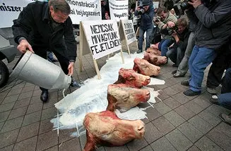 Die Proteste der Milchbauern in Ungarn werden ruppiger