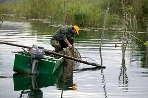 100.000 Unterschriften für eine sanfte Nutzung und gegen sorglosen Ausbau der Donau