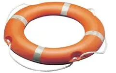 Widersprüche im Rettungsplan für Fremdwährungskredite in Ungarn