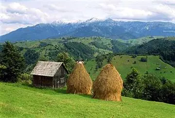 Kulturkampf um Terra Madre