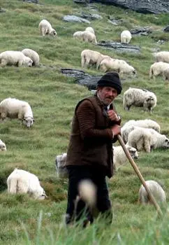 Kulturkampf um Terra Madre