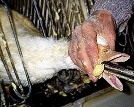 Der Gänsestopfleber aus Ungarn konnte die Krise nichts anhaben