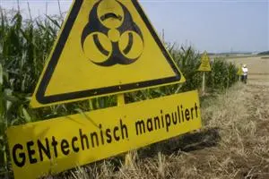 Arbeitet die Präsidentin der EU-Lebensmittelaufsicht für die GenTech-Lobby?
