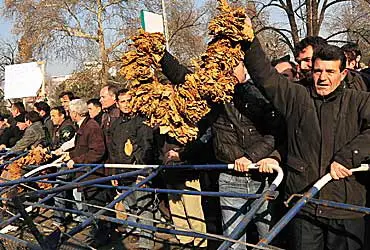 Schall und Rauch: Der Aufstand der Tabakbauern in Mazedonien