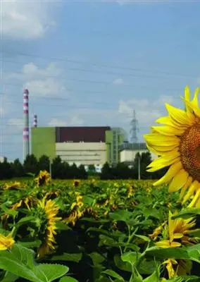 Ungarn baut voll auf Atomenergie, trotz Japan