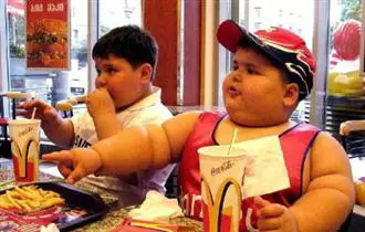 "Gesundheitsauflagen" für McDonalds & Co. in Ungarn