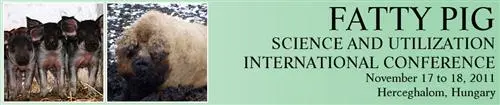Schweine für die Konjunktur - Mangalica-Konferenz in Ungarn