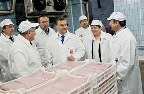 Verschlimmbesserungen für Unternehmen in Ungarn