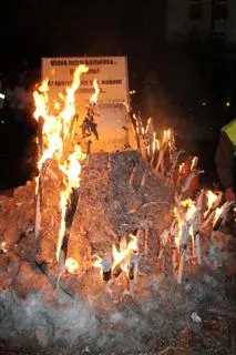 Studenten protestieren gegen Hochschulreform in Ungarn