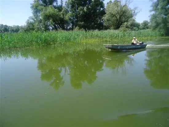 Der Biosphärenpark Mur-Drau-Donau vor der Vollendung - Ortstermin in Kroatien