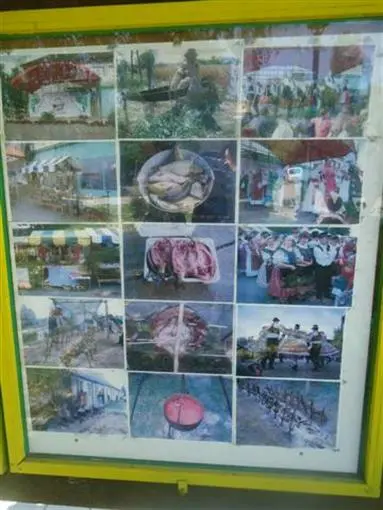 Der Biosphärenpark Mur-Drau-Donau vor der Vollendung - Ortstermin in Kroatien