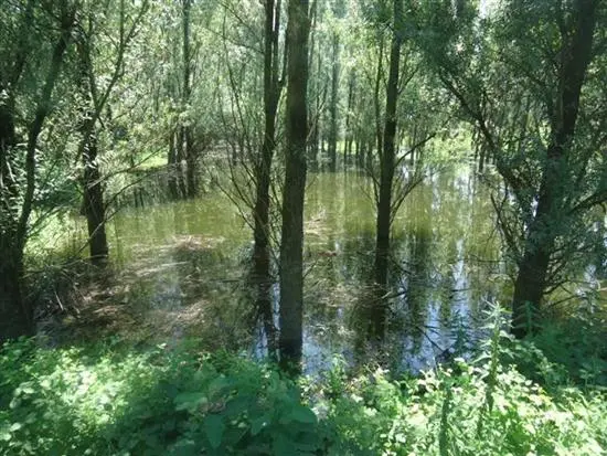 Der Biosphärenpark Mur-Drau-Donau vor der Vollendung - Ortstermin in Kroatien