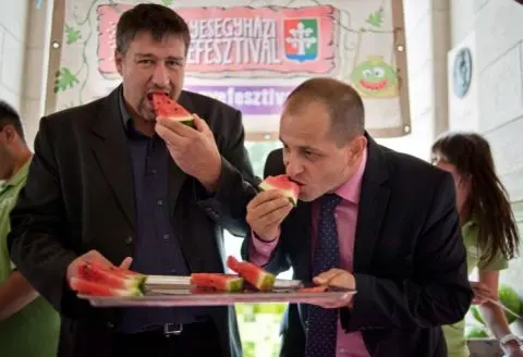 Mission Melone: Vom Politkommissar zum Schutzpatron der ungarischen Melone