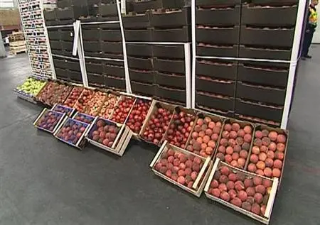Aktuelle Wirtschaftsnachrichten aus Ungarn