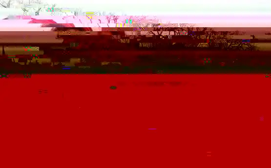 Pfeilkreuze im Kopf: Totes Recht und lebendige Rechte: Paragraph 269 und Ungarn - Kommentar