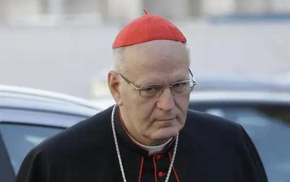 Kardinal Erdo als Papst: Fortsetzung Johannes Paul II. mit den Mitteln Ratzingers