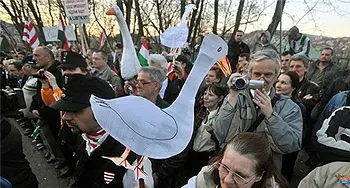 Entschädigung mit Politbonus für "Bajnai-geschädigte" Geflügelzüchter der Hajdu-Bet