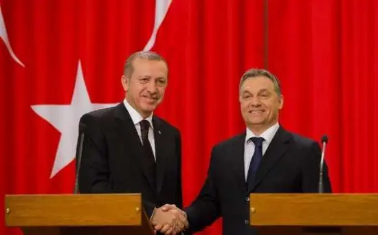 Regierung von Ungarn solidarisiert sich mit türkischem Knüppelregime