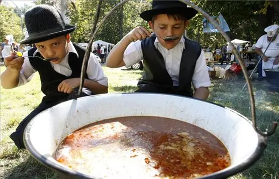 Wein- und Gastronomiefestivals in Ungarn im September