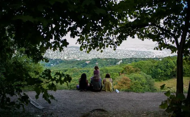 Opposition macht gegen Fidesz-Großprojekt im "letzten Wald" von Budapest mobil
