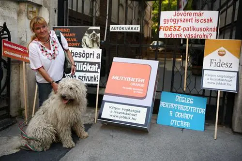 Referendum soll Gewinne und Produkpalette für Fidesz-Trafikanten beschränken
