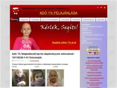 Schwere Betrugsvorwürfe gegen ungarische Kinderkrebsstiftung