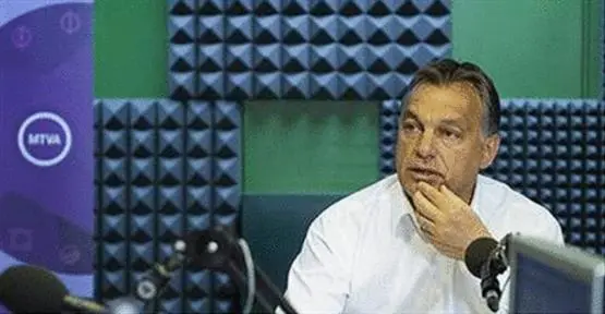 Freitagspredigt: Orbán macht ungarische Schweine billiger