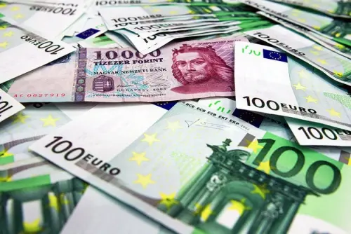 Chaos der Gewalten: Gesetzlicher Hürdenlauf zur Eliminierung von Forex-Krediten in Ungarn