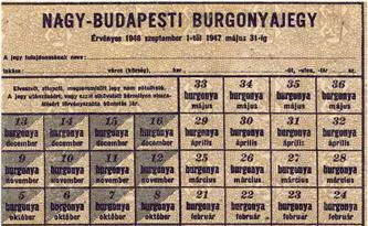 Vor der Kommunalwahl in Ungarn: Budapester Bezirk gibt Lebensmittelmarken an Alte und Arme aus