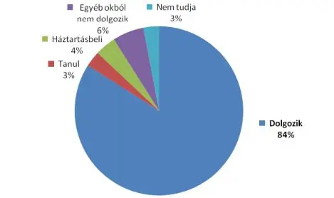 Die große Flucht: Deprimierende Zahlen und Hintergründe zur Auswanderung aus Ungarn