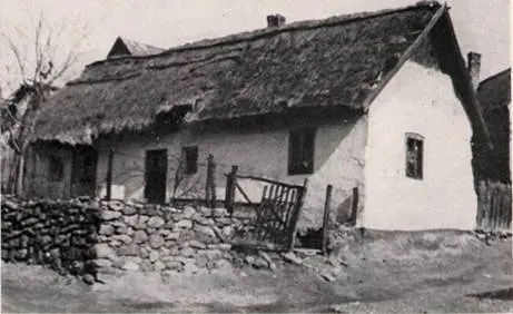 Finanzminister streicht Nothilfe für Zwangsgeräumte, kürzt Sozialhilfe und EU-Kofinanzierungszuschüsse für Kommunen in Ungarn