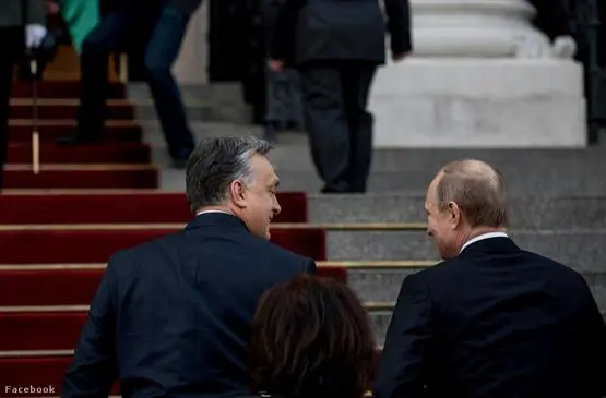 Der echte beim Puszta-Putin: Russlands Präsident zu Besuch in Ungarn