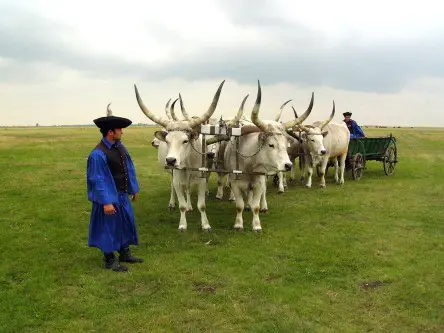 12puszta15 (Andere)