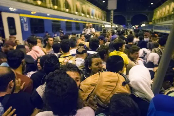 36keleti6 (Andere)