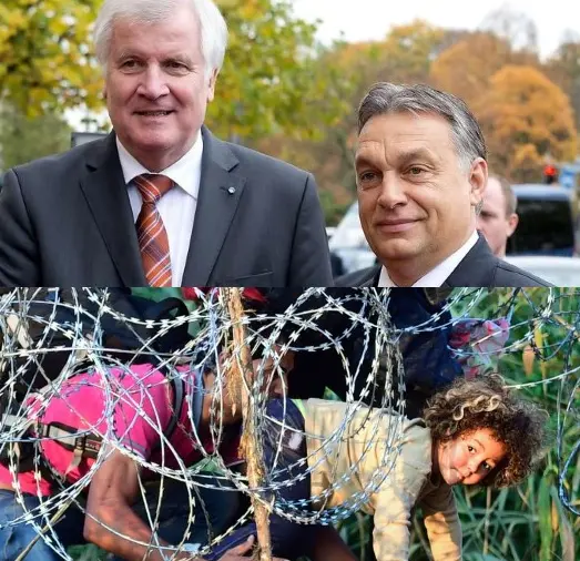 39baytitel