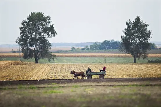 41bauernland (Andere)