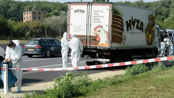 41lkw (Andere)