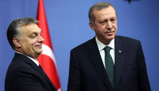 1710orbanerdogan (Andere)