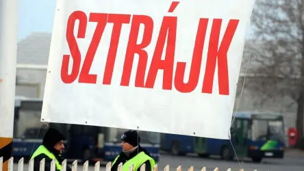 streikhu (Andere)