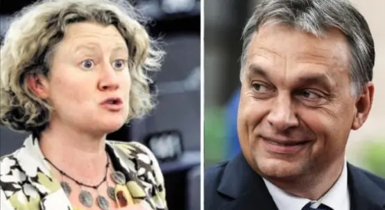 sargentiniorban (Andere)