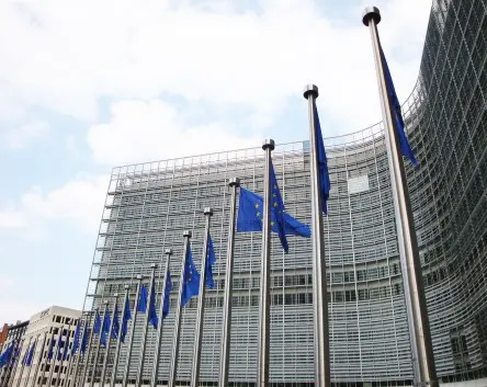 1813euparlament (Andere)