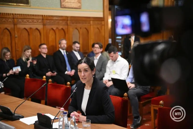 Anita Orbán bei ihrer Anhörung im Auswärtigen Ausschuss des Parlaments. (Foto: MTI/Tamás Purger)