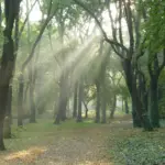 Volkspark Budapest