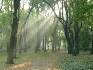 Volkspark Budapest