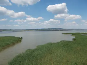 lake velence