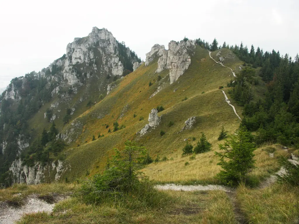 Bralná Fatra - Caroig CCBYSA 2.5