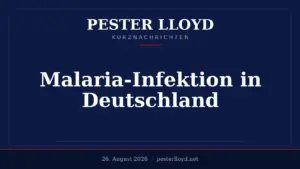 Malaria-Todesfall am Flughafen Frankfurt - Importierte Mücke als Ursache